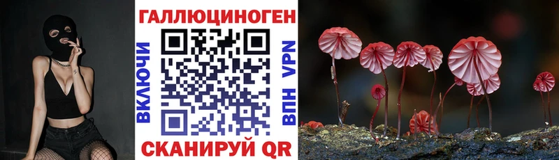 mega зеркало  Кирс  Галлюциногенные грибы мицелий 